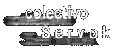 Colectivo Servok